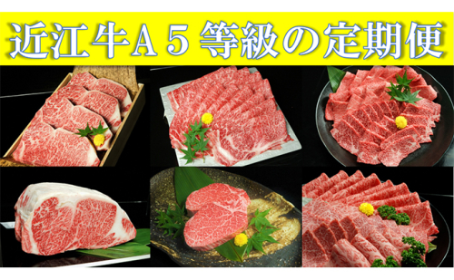 近江牛A5等級の定期便【年6回お届け・隔月】 172967 - 滋賀県湖南市
