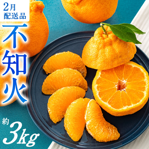 AA132.農家直送の不知火／約3kg（2026年2月発送予定) 173077 - 福岡県新宮町