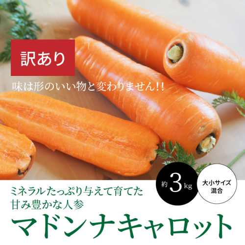 ＜フジテレビ『どっちのふるさと？』で紹介されました！＞ 訳あり 冬期限定 にんじん マドンナキャロット 容量 3kg 先行予約 国産 甘い フルーツのような味わい お子様にもおすすめ 栄養 神重農産 野菜 愛知県 碧南市 送料無料 H105-155 1738327 - 愛知県碧南市