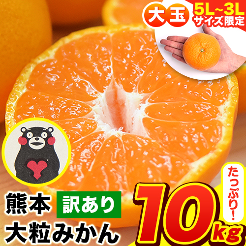みかん 訳あり 大粒 ミカン 10kg 10キロ 熊本 ちょっと 訳あり 傷 5L～3Lサイズ 約10kg たっぷり 熊本県産 熊本県 期間限定 フルーツ 旬 柑橘 ご家庭用 長洲町 大粒《2026年1月中旬-2月末頃出荷》 173960 - 熊本県長洲町