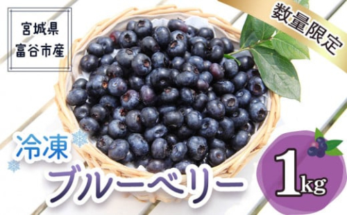 2025年富谷市産 冷凍ブルーベリー1kg｜ブルーベリー 冷凍便 特産品 果実 スイーツ デザート ヨーグルト ジャム ジュース 果物 ギフト 贈答 贈り物 令和7年産 [0226] 174340 - 宮城県富谷市