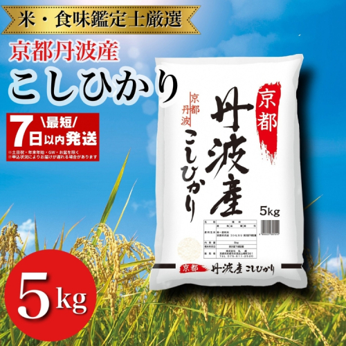 【最短7日以内発送】令和6年産 京都丹波産 こしひかり 米 5kg ※米食味鑑定士厳選 ※精米したてをお届け【京都伏見のお米問屋が精米】米 白米 ※沖縄本島・離島への配送不可 174512 - 京都府亀岡市