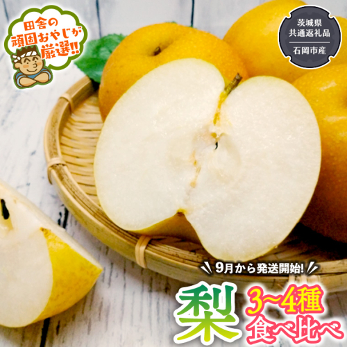 梨 食べ比べ 3～4種類【2025年9月より発送開始】（茨城県共通返礼品 [梨]：大子町産）田舎の頑固おやじが厳選！ [BI124-NT] 175847 - 茨城県つくばみらい市
