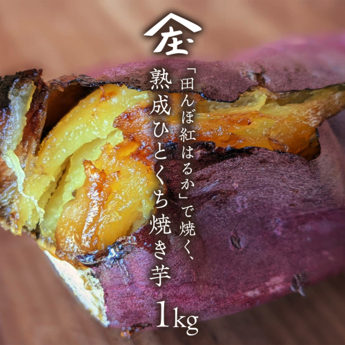 「田んぼ 紅はるか」で焼く、熟成ひとくち焼き芋 1kg (500g×2包装) 焼き芋 芋 さつまいも おやつ スイーツ 茨城 庄七農園  [BK24-NT] 1759263 - 茨城県つくばみらい市