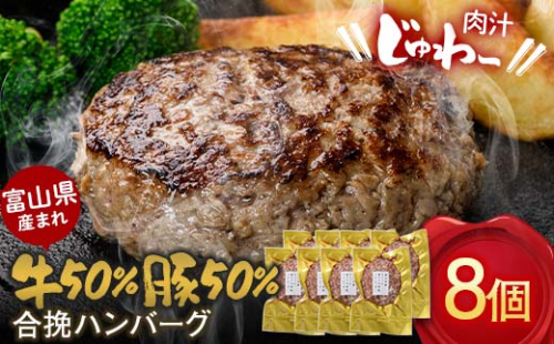 富山県産 牛50％ 豚50％ 合挽ハンバーグ 8個セット カシワファーム 和牛 牛肉 おかず 惣菜 時短 冷凍 富山県 立山町 お歳暮 お中元 F6T-553 1759427 - 富山県立山町