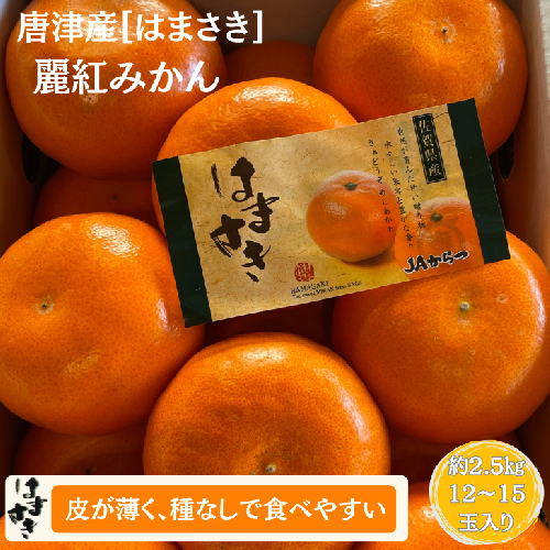 【先行予約】佐賀みかん 唐津産【はまさき】麗紅みかん：B210-021 1759515 - 佐賀県佐賀市
