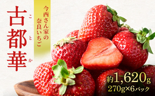 【先行予約】今西さん家の奈良いちご古都華 × 6パック いちご 苺 イチゴ ブランド 古都華 フルーツ 果物 国産 贈答用 プレゼント ギフト 大和郡山市 奈良 1759740 - 奈良県大和郡山市