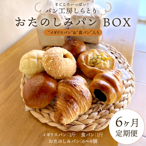 【 6ヶ月 定期便 】まごころいっぱい！ パン工房しらとり 人気商品 「 イギリスパン 」＆「 食パン 」入り おたのしみパン BOX【A】 冷凍 パン 詰め合わせ ボックス ギフト お楽しみ [AU013ci] 1769767 - 茨城県筑西市