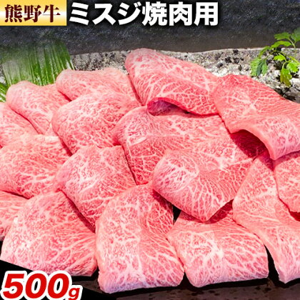 牛肉 熊野牛 ミスジ 焼肉用 500g 株式会社Meat Factory《30日以内に出荷予定(土日祝除く)》和歌山県 日高川町 熊野牛 牛 和牛 焼肉 希少部位 ミスジ 焼肉 1770491 - 和歌山県日高川町
