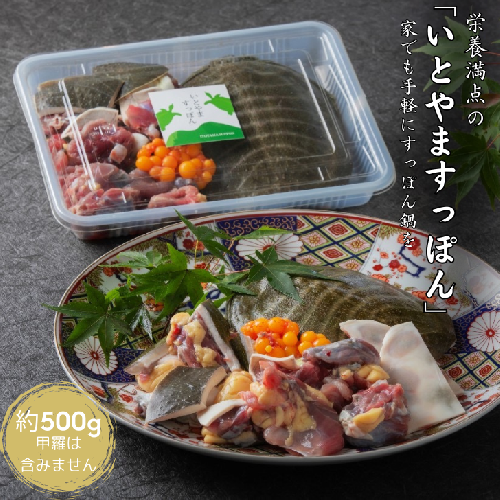 栄養満点の「いとやますっぽん」で家でも手軽にすっぽん鍋を：B315-008 1770528 - 佐賀県佐賀市
