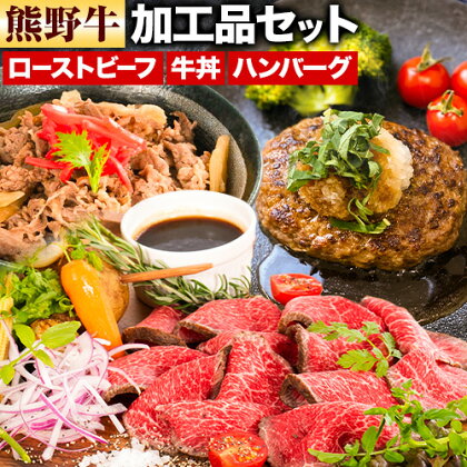 牛肉 熊野牛 加工品 バラエティ セット ミニ ローストビーフ 生ハンバーグ 牛丼の具 約 970g 株式会社Meat Factory《30日以内に出荷予定(土日祝除く)》和歌山県 日高川町 熊野牛 牛 和牛 惣菜 ハンバーグ 牛丼 1770707 - 和歌山県日高川町
