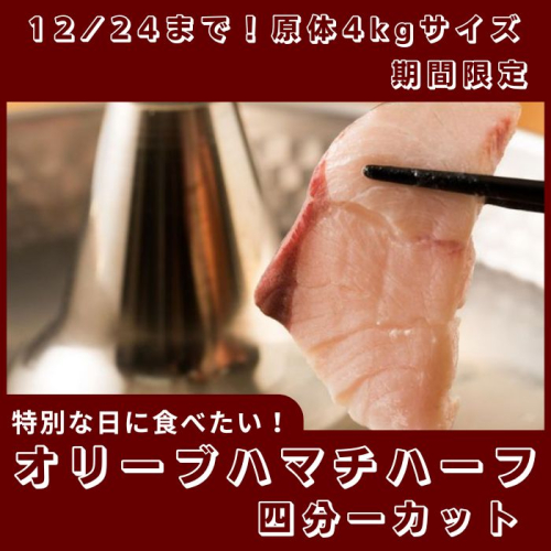 期間限定受付 オリーブハマチ ハーフ(四分一カット)【B-632】 1775628 - 香川県多度津町