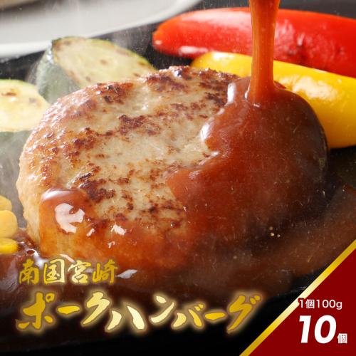 南国宮崎ポークハンバーグ100g×10個 K16_0163 1778837 - 宮崎県木城町