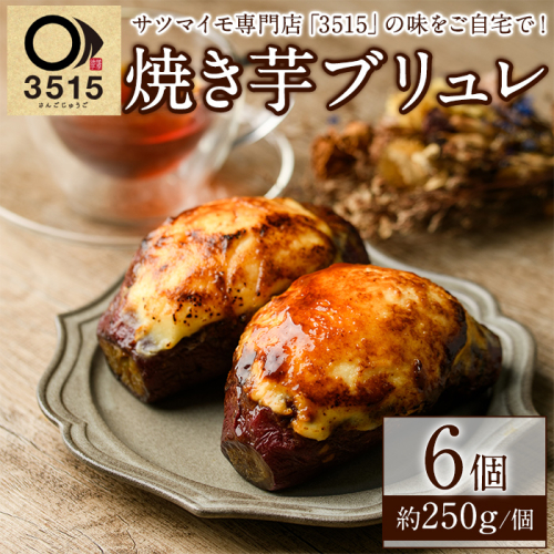 3515(焼き芋・スイーツ専門店)の焼き芋ブリュレ(計6個) お菓子 スイーツ デザート 芋 さつまいいも 紅はるか 手軽 小分け 【合同会社グッドフィールド】akn056-18 1779994 - 鹿児島県阿久根市