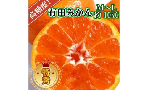 BD6034n_【２０２５年先行予約】高糖度 有田みかん 特秀品 10kg (M～Lサイズおまかせ)【ミカン 蜜柑 柑橘 温州みかん 有田みかん 和歌山】 178626 - 和歌山県湯浅町