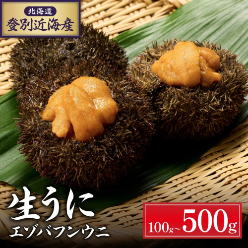 北海道 登別近海産 極上エゾバフンウニ パック詰 200g ※2025年6月よりお届け　 1787423 - 北海道登別市