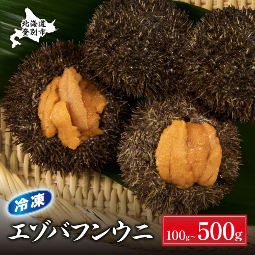 極上 エゾバフンウニ 冷凍パック200g【1月以降順次配送】 1787424 - 北海道登別市