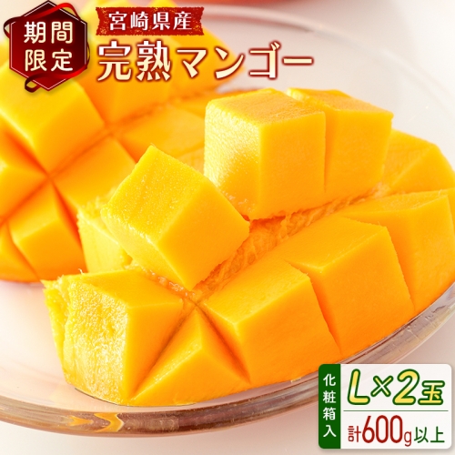 ＜数量限定＞宮崎県産 完熟マンゴーL×2玉（計620g以上）※2026年4月下旬配送開始 化粧箱入 フルーツ くだもの【B544-26】 179046 - 宮崎県新富町