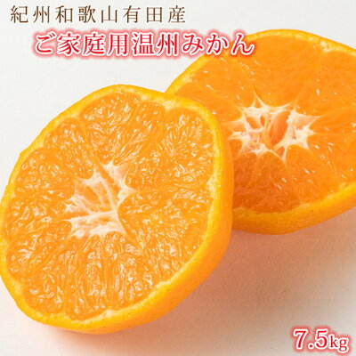 G7345_【2025年先行予約】紀州 有田産 濃厚甘熟 温州みかん 7.5kg 【家庭用 訳あり】 179258 - 和歌山県湯浅町