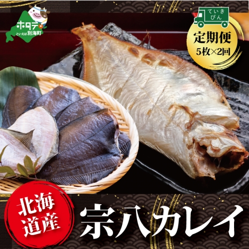 【定期便】北海道産 一夜干し 宗八カレイ 5枚 × 2ヵ月 【全2回】 179504 - 北海道別海町