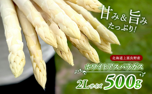 先行予約 【 2025年 発送 ！】 北海道 上富良野産 ホワイトアスパラガス 2L サイズ 500g アスパラ ホワイト アスパラガス 上富良野町 令和7年発送 野菜 やさい【オンライン決済限定】 1795085 - 北海道上富良野町