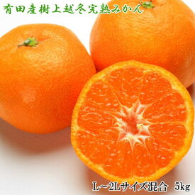ZD6197n_【2026年先行予約】【濃厚・まろやか】樹上越冬 完熟 みかん 5kg (L～2Lサイズ混合・秀品) 179844 - 和歌山県湯浅町