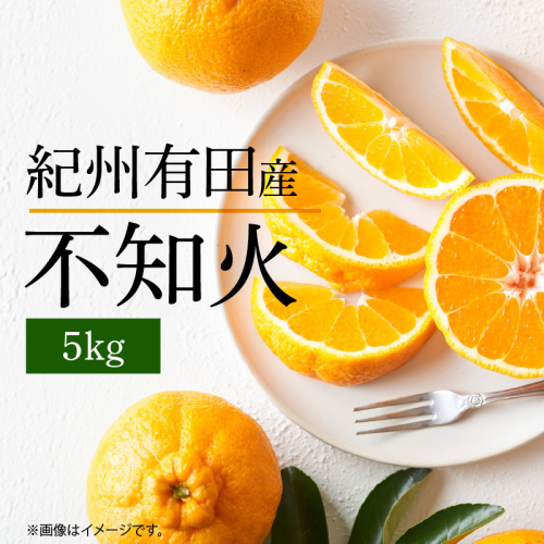 G7356_【2026年先行予約】不知火 5kg デコポン 柑橘の王様 甘い プリプリ ジューシー 濃厚 フルーツ 果実 果物 柑橘 紀州有田産 国産 食品 食べ物 お取り寄せ 魚鶴商店 和歌山県 湯浅町 送料無料 179845 - 和歌山県湯浅町