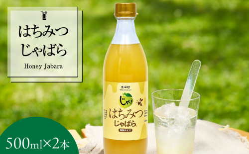 V7157_はちみつじゃばら 500ml×2本  邪払 ジャバラ じゃばら じゃばらジュース 北山村／紀伊国屋文左衛門本舗 180048 - 和歌山県湯浅町