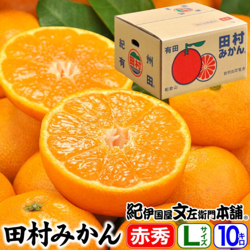 V7442_田村みかん／特選ギフト品10kg【Lサイズ】赤秀／紀州和歌山有田郡湯浅町田村地区産／最高級プレミアムブランドの田村ミカン／紀伊国屋文左衛門本舗(お届け日指定不可)  180814 - 和歌山県湯浅町