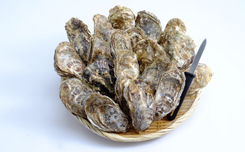 北海道 サロマ湖産 加熱用 殻付き 牡蠣貝（2年貝）4kg カキ 牡蠣 かき 海鮮 魚介 国産 貝付き 冷蔵 焼き牡蠣 蒸し牡蠣 魚貝類 生牡蠣  181469 - 北海道湧別町