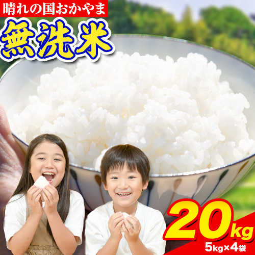 晴れの国おかやま 無洗米 20kg 個包装 こめ コメ 岡山 岡山県産 《7-14営業日以内に出荷(土日祝除く)》 お米 ライス ヒノヒカリ あきたこまち にこまる きぬむすめ ブレンド米  1821554 - 岡山県笠岡市