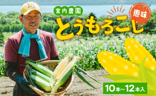 北海道産 とうもろこし 糖度20度以上 恵味 めぐみ 2L 10～12本 2026年7月下旬～8月下旬頃にお届け 先行受付 朝採り トウモロコシ スイート コーン  旬 夏 野菜 新鮮 産地直送 宮内農園 洞爺湖町 182729 - 北海道洞爺湖町