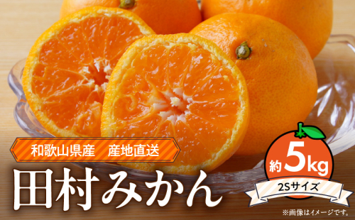 ZE6486_Y_【直営限定】【2025年先行予約】和歌山 湯浅町産 田村みかん 5kg【2Sサイズ】 182891 - 和歌山県湯浅町
