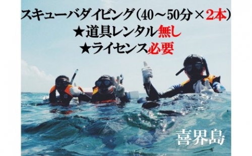 喜界島で スキューバダイビング（40～50分×２本）★道具レンタル無し★ライセンス必要★ 183149 - 鹿児島県喜界町