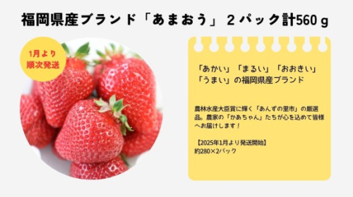 【2026年1月より順次発送】福岡県産ブランドいちご「あまおう」2パック計560ｇ★あんずの里[G0161] 1833182 - 福岡県福津市