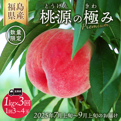 ◆2025年夏発送◆桃源の極み～産直・桃・約1kg×3回～ ｜ 先行予約 予約 数量限定 桃 もも モモ 果物 くだもの フルーツ 詰め合わせ 福島 ふくしま　※離島への配送不可　※2025年7月中旬～9月上旬頃に順次発送予定 1838926 - 福島県国見町