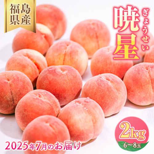 ◆2025年夏発送◆暁星～産直・桃・約2kg～ ｜ 先行予約 予約 数量限定 桃 もも モモ 果物 くだもの フルーツ 詰め合わせ 福島 ふくしま　※離島への配送不可　※2025年7月上旬～7月下旬頃に順次発送予定 1838943 - 福島県国見町