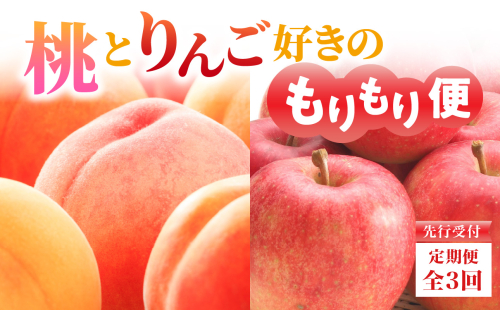 ≪先行受付≫桃とりんご好きのもりもり便【定期便全３回】 【060-T04】 1842201 - 山形県大江町