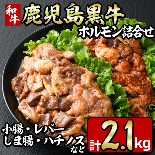 No.790 鹿児島黒牛のホルモンのタレ味と旨辛味の詰合せ(合計2.1kg・300g×7P) 国産 九州産 鹿児島県産 黒牛 和牛 牛肉 お肉 ホルモン モツ 小腸 レバー しま腸 ハチノス 詰め合わせ おかず おつまみ 冷凍 小分け【やきにく茶屋和昇】 185452 - 鹿児島県日置市