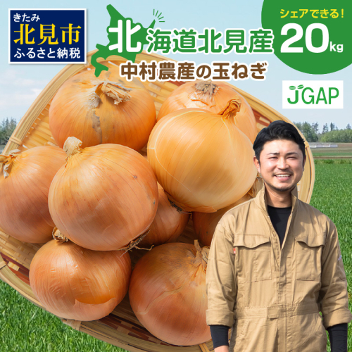 【予約：2025年9月下旬から順次発送】北海道北見産 玉ねぎ 20kg ( 玉ねぎ 野菜 たまねぎ タマネギ 玉葱 甘い 20キロ ハンバーグ 肉じゃが ふるさと納税 玉ねぎ )【002-0005-2025】 186010 - 北海道北見市