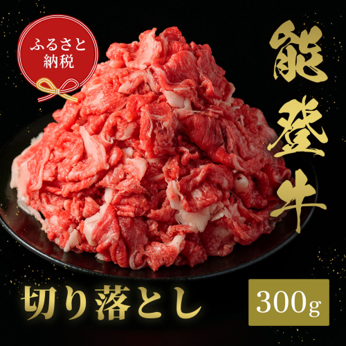 肉【和牛セレブ】能登牛 切り落とし 300g 黒毛和牛 霜降り ギフト 石川県 能美市 1860437 - 石川県能美市