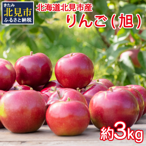 【予約：2025年10月から順次発送】北海道北見市産 りんご 旭 約3kg ( りんご リンゴ 林檎 果物 フルーツ 期間限定 )【044-0003-2025】 186091 - 北海道北見市