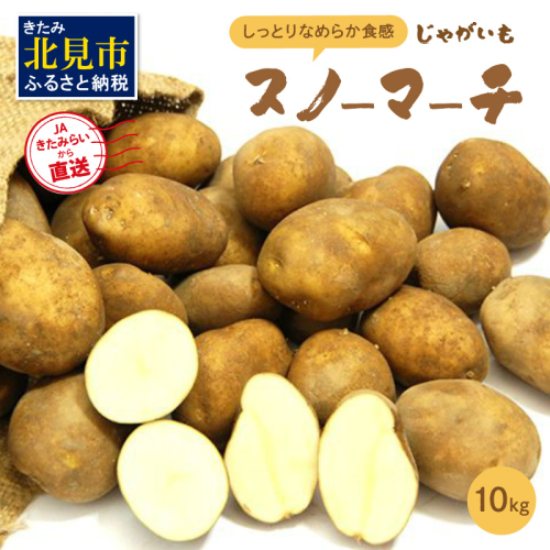 【予約：2025年10月中旬から順次発送】ホワイトシチューやグラタンにオススメ！JAきたみらいから直送する新鮮じゃがいも「スノーマーチ」10kg ( 野菜 期間限定 北海道 )【104-0003-2025】 186265 - 北海道北見市