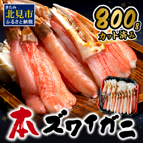 北見市加工 生冷本ズワイガニセット 800g 昆布入 ( 海鮮 魚介類 魚介 蟹 かに カニ セット 鍋 カニ鍋 カニ爪 ズワイガニ かにしゃぶ カット済 贈答 ギフト 熨斗 のし ふるさと納税 )【094-0071】 186339 - 北海道北見市