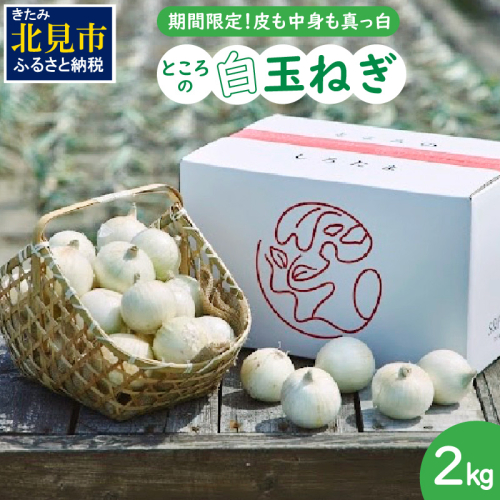 【予約：2025年7月中旬から順次発送】ところの白玉ねぎ 2kg ( 玉ねぎ タマネギ 玉葱 野菜 白玉ねぎ 2キロ 期間限定 辛みが少ない 生食 )【121-0013-2025】 186373 - 北海道北見市