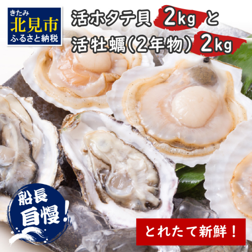 【予約：2025年10月中旬から順次発送】とれたて新鮮！活ホタテ貝2kgと活牡蠣2年物2kg ( 海鮮 魚介 貝 帆立 ほたて ホタテ カキ かき 牡蠣 セット BBQ )【114-0014-2025】 186416 - 北海道北見市