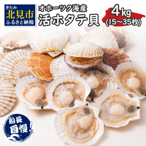 とれたて新鮮！オホーツク海産 活ホタテ貝 4kg 15～35枚 ( 魚介 海鮮 貝 帆立 ほたて ホタテ 4キロ カレー シチュー 肉厚 )【114-0048】 186452 - 北海道北見市