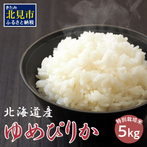 北海道 ゆめぴりか 特別栽培米 5kg ( 米 白米 ブランド米 ユメピリカ 高品質 5キロ )【061-0004】 186467 - 北海道北見市