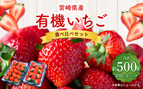 ＜宮崎県産 有機いちご食べ比べセット＞※入金確認後、2025年1月～3月迄に順次出荷します。 計500g いちご 苺 食べ比べ セット 1865954 - 宮崎県高鍋町