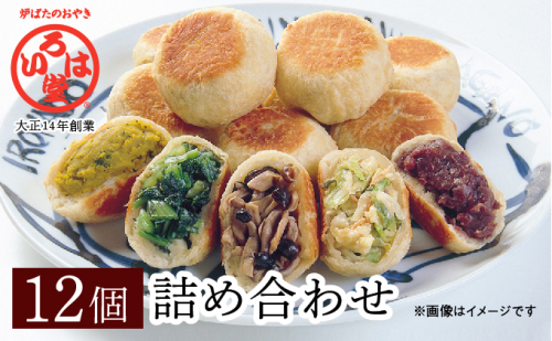 いろは堂 おやき 12個 詰め合わせ セット 長野 惣菜 野沢菜 野菜 粒あん かぼちゃ ねぎみそ 和菓子 おつまみ おやつ おかず 冷凍 冷凍食品 取り寄せ 長野県 長野市 長野県長野市  186755 - 長野県長野市